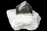 .9" Shiny, Natural Pyrite Cube In Rock - Navajun, Spain - #131116-1